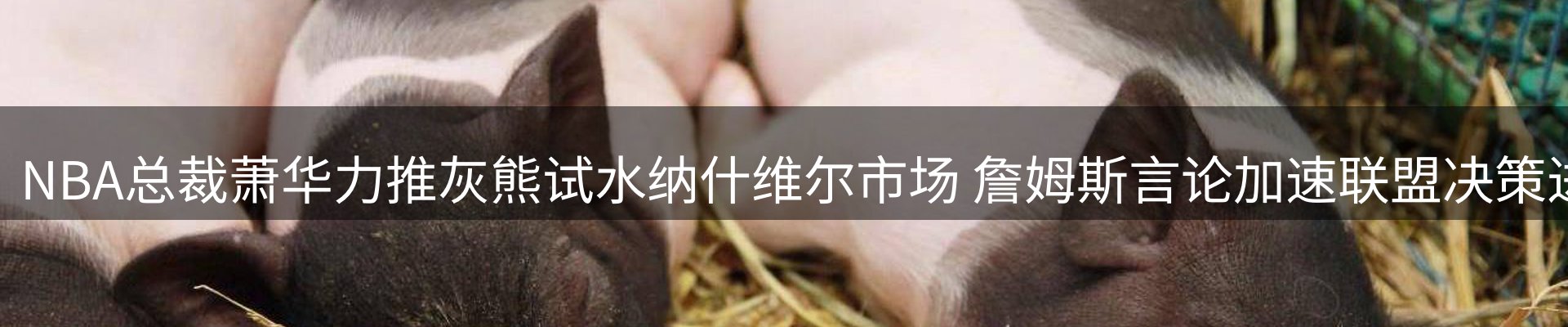 内页banner